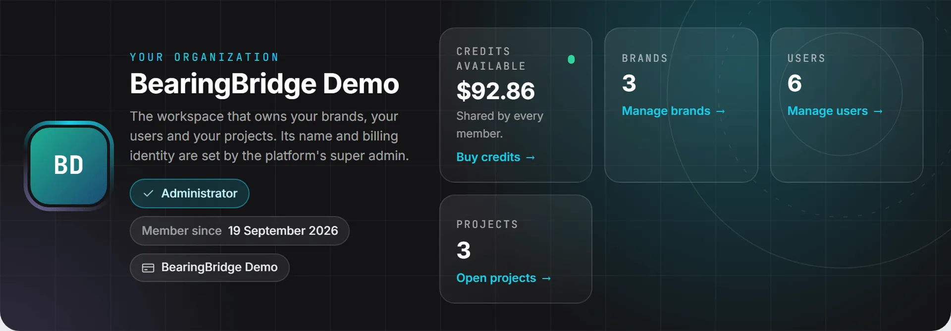 The band at the top of the Organization page, with the credits available and the count of brands, users and projects