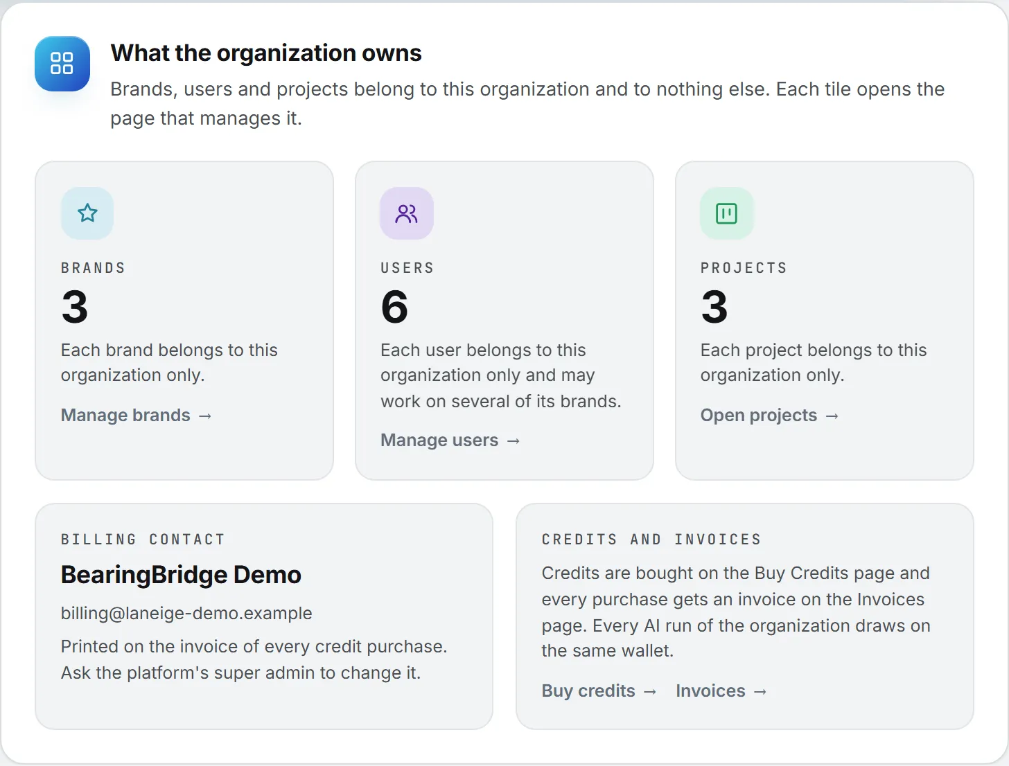 The What the organization owns card, with a tile each for brands, users and projects, and the billing contact under them