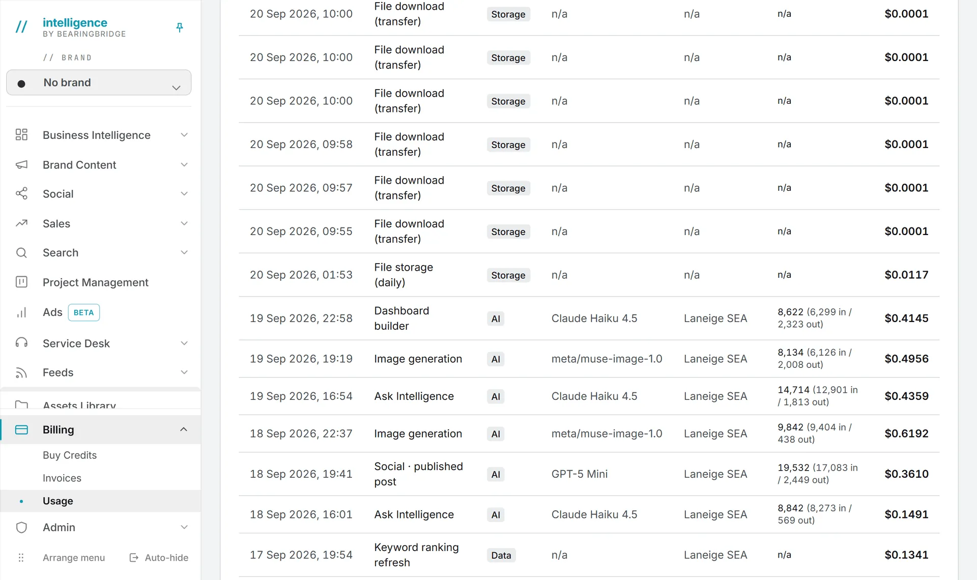 Paid actions in the usage log, each with its type, the model that ran, the brand it was for and what it cost