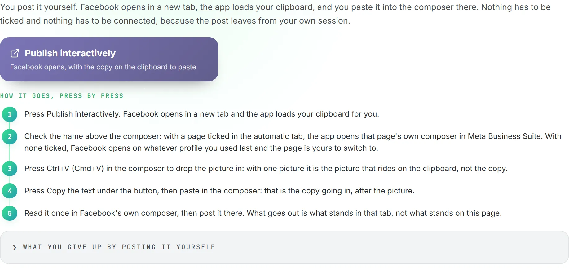 The Publish manually tab, with the Publish interactively button and the note on what posting it yourself gives up
