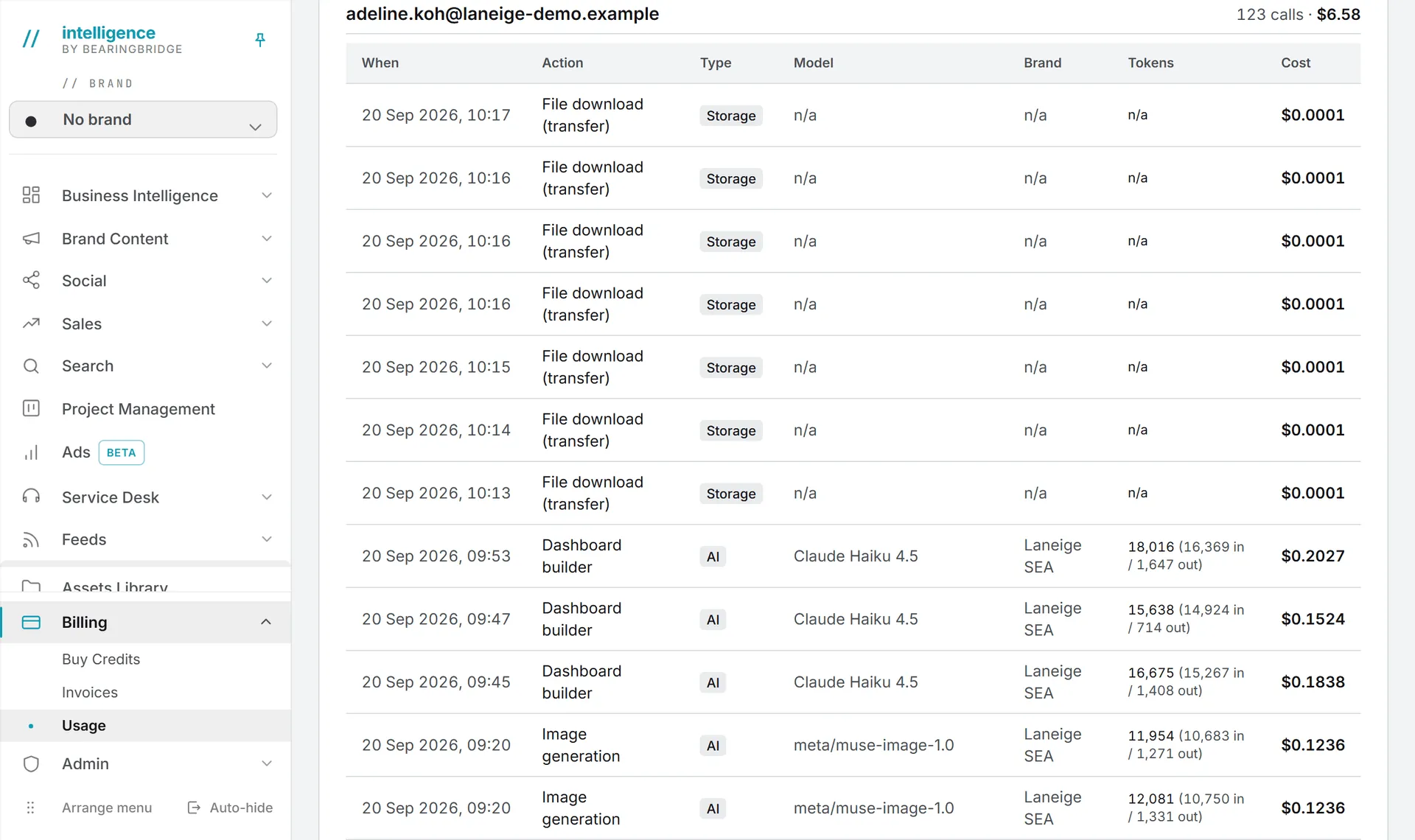 One person's group in the log, with the date, the action, the type, the model, the brand, the tokens and the cost of each call